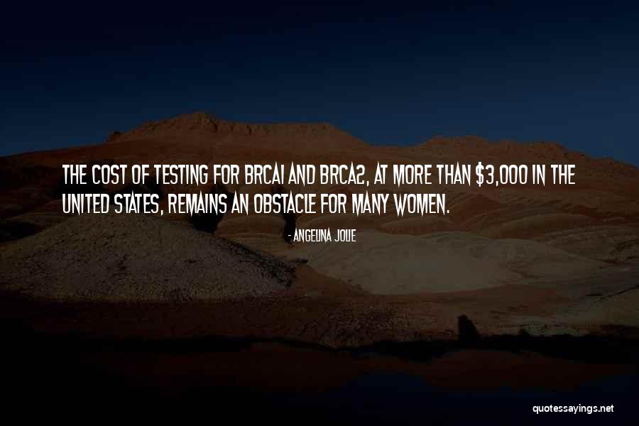 Many Obstacles Quotes By Angelina Jolie Many Obstacles Quotes By Angelina Jolie