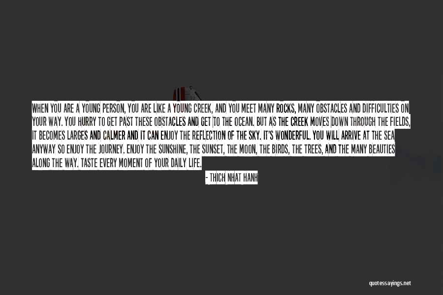 Many Obstacles Quotes By Thich Nhat Hanh Many Obstacles Quotes By Thich Nhat Hanh
