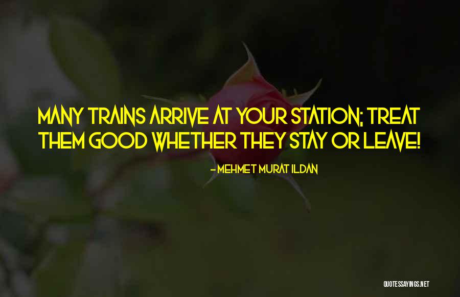 Many Others Quotes By Mehmet Murat Ildan Many Others Quotes By Mehmet Murat Ildan