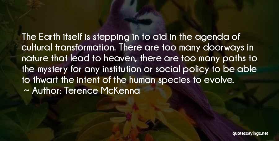 Many Paths Quotes By Terence McKenna