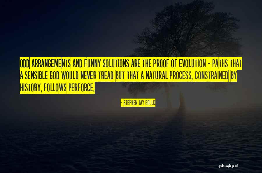 Many Paths To God Quotes By Stephen Jay Gould Many Paths To God Quotes By Stephen Jay Gould