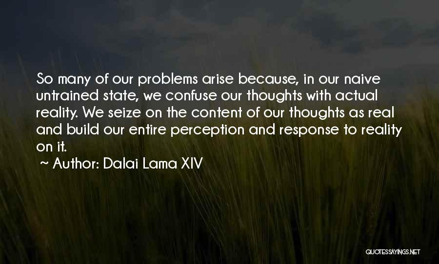 Many Problems Quotes By Dalai Lama XIV