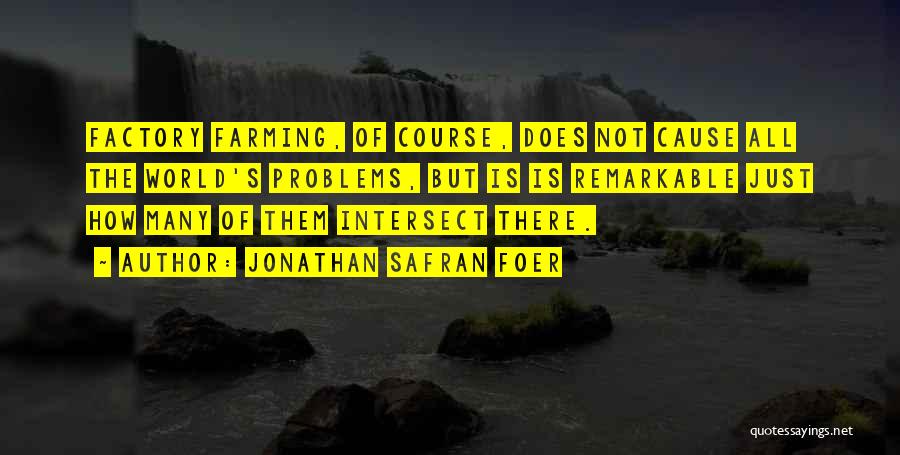 Many Problems Quotes By Jonathan Safran Foer