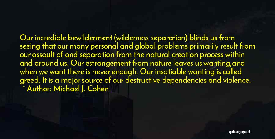 Many Problems Quotes By Michael J. Cohen