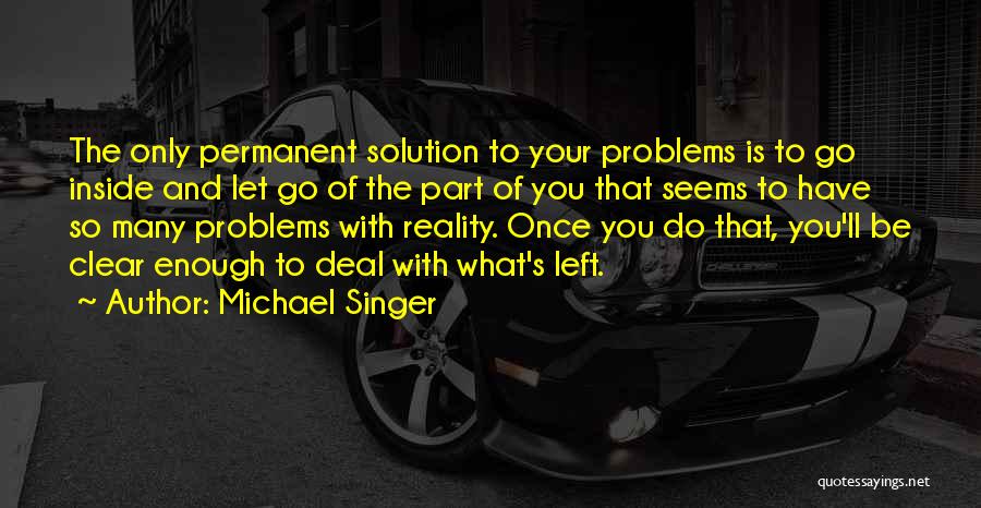 Many Problems Quotes By Michael Singer