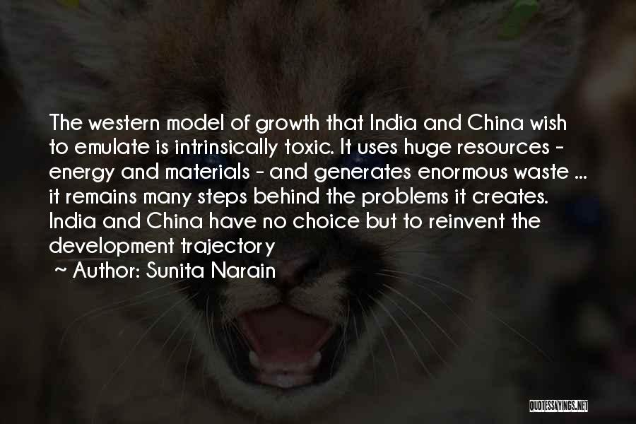 Many Problems Quotes By Sunita Narain