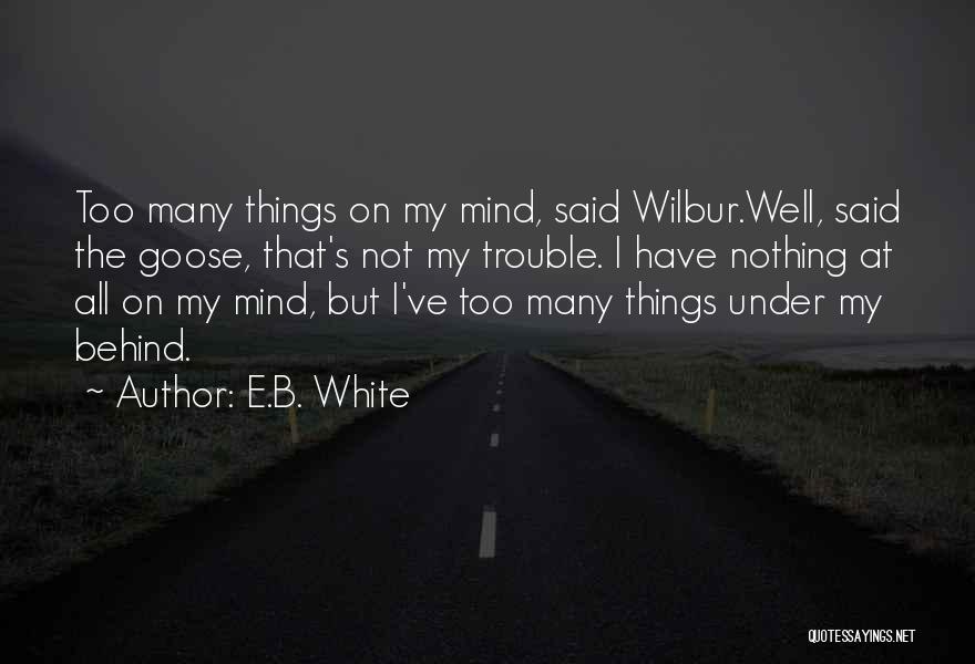 Many Things On My Mind Quotes By E.B. White