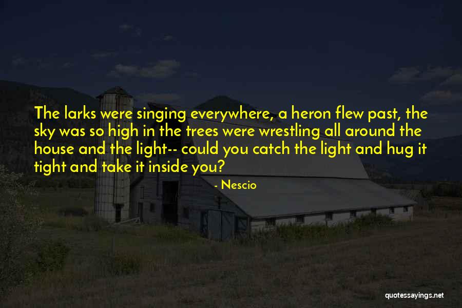 Manyetik Rezonans Quotes By Nescio Manyetik Rezonans Quotes By Nescio