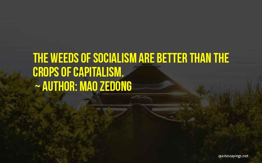 Mao Zedong Quotes 129898