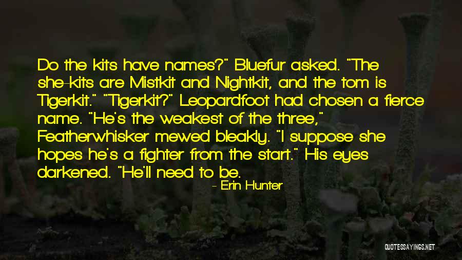 Mapato Handayani Quotes By Erin Hunter Mapato Handayani Quotes By Erin Hunter
