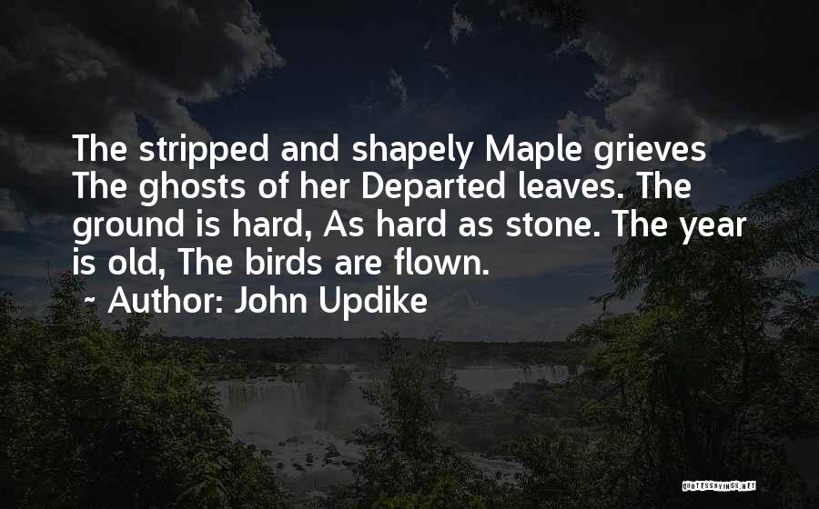 Maple Leaves Quotes By John Updike