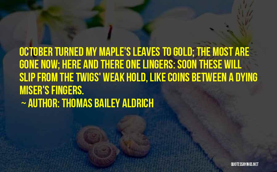 Maple Leaves Quotes By Thomas Bailey Aldrich