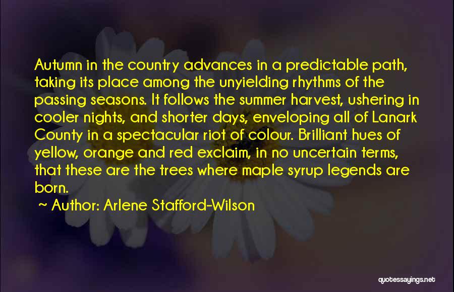 Maple Syrup Quotes By Arlene Stafford-Wilson