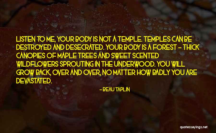 Maple Trees Quotes By Beau Taplin Maple Trees Quotes By Beau Taplin