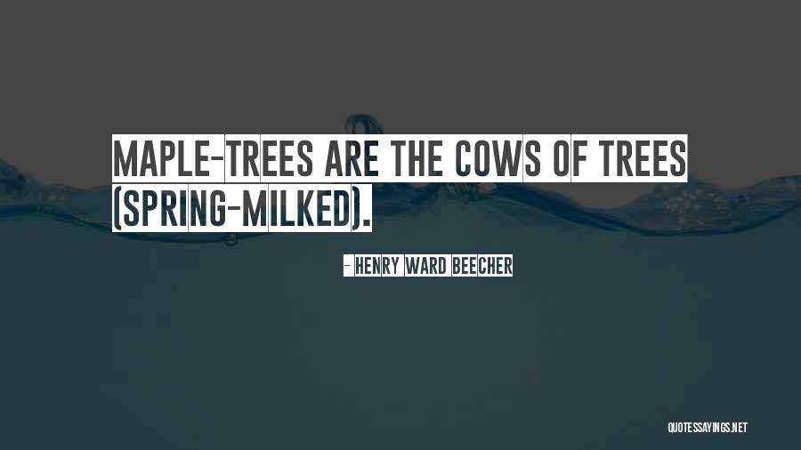 Maple Trees Quotes By Henry Ward Beecher Maple Trees Quotes By Henry Ward Beecher