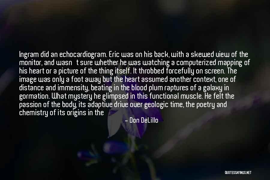 Mapping Quotes By Don DeLillo Mapping Quotes By Don DeLillo