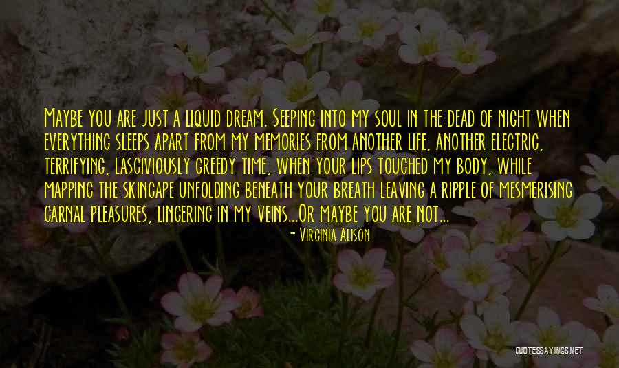 Mapping Quotes By Virginia Alison Mapping Quotes By Virginia Alison