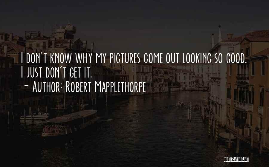 Mapplethorpe Quotes By Robert Mapplethorpe