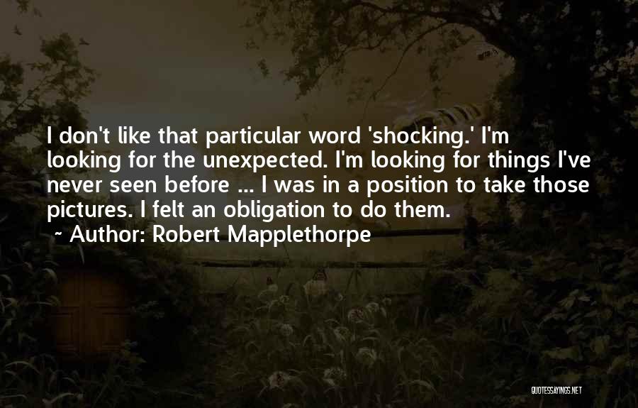 Mapplethorpe Quotes By Robert Mapplethorpe