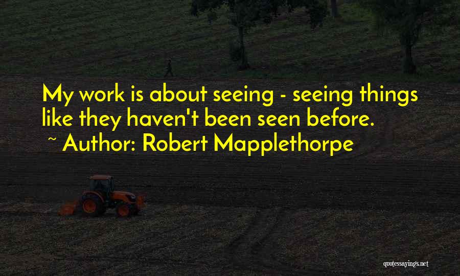 Mapplethorpe Quotes By Robert Mapplethorpe