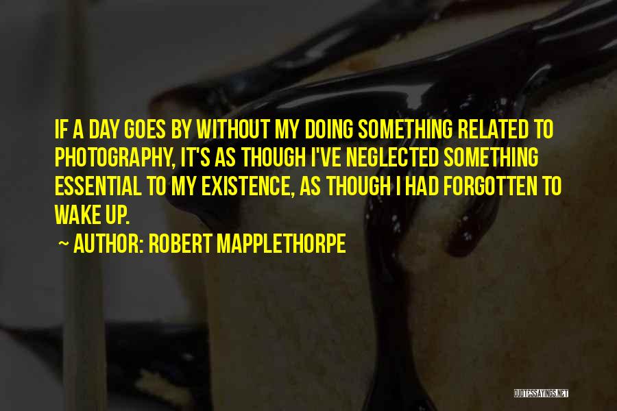 Mapplethorpe Quotes By Robert Mapplethorpe