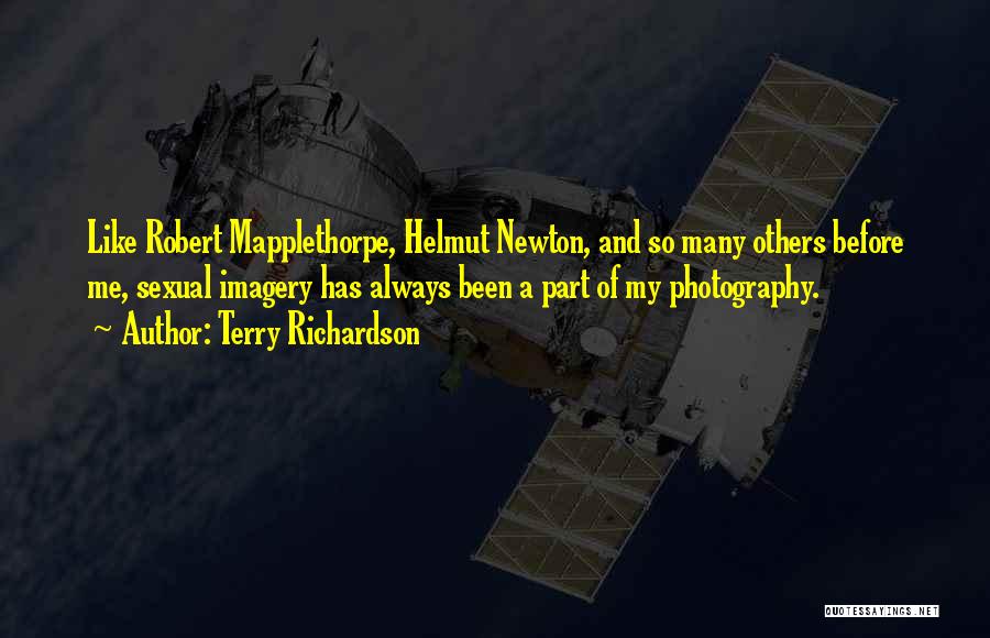 Mapplethorpe Quotes By Terry Richardson