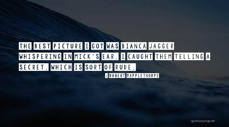 Mapplethorpe Y Quotes By Robert Mapplethorpe Mapplethorpe Y Quotes By Robert Mapplethorpe