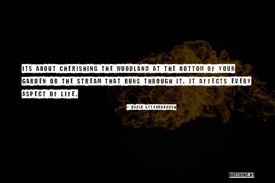 Maquiller Se Quotes By David Attenborough Maquiller Se Quotes By David Attenborough