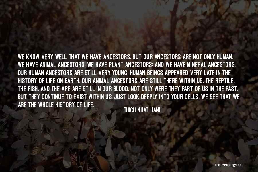 Mar Charbel Quotes By Thich Nhat Hanh Mar Charbel Quotes By Thich Nhat Hanh