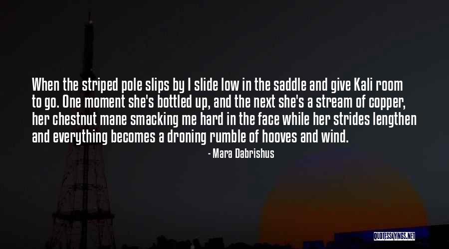 Mara Dabrishus Quotes 1075866 Mara Dabrishus Quotes 1075866