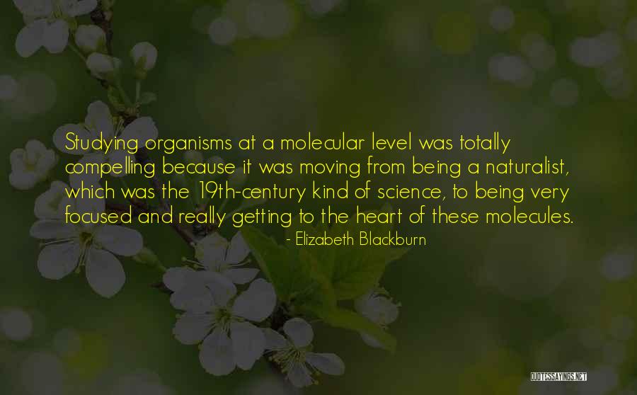 Mara Hoffman Quotes By Elizabeth Blackburn Mara Hoffman Quotes By Elizabeth Blackburn