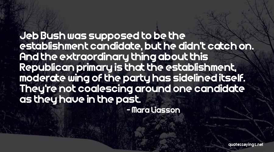 Mara Liasson Quotes 1744330