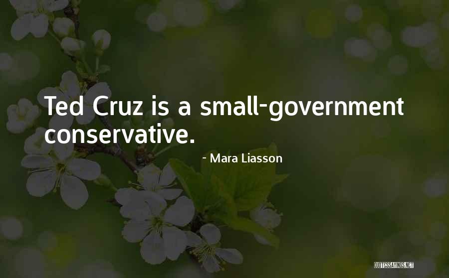 Mara Liasson Quotes 2197014