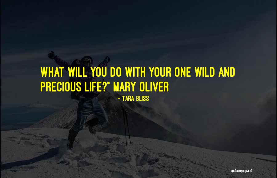 Maraki Market Quotes By Tara Bliss Maraki Market Quotes By Tara Bliss