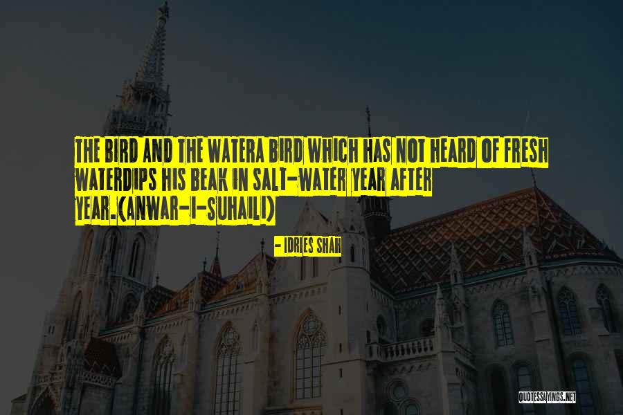 Marale Quotes By Idries Shah Marale Quotes By Idries Shah