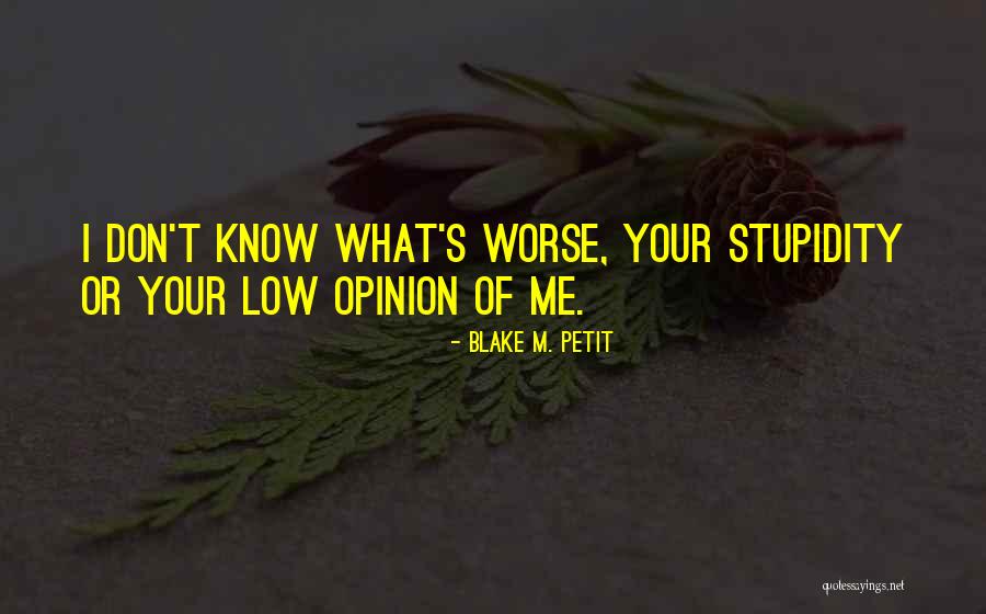 Maramica Quotes By Blake M. Petit Maramica Quotes By Blake M. Petit