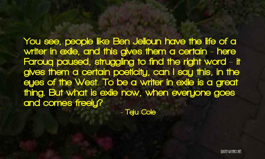 Marathi Bhari Quotes By Teju Cole Marathi Bhari Quotes By Teju Cole
