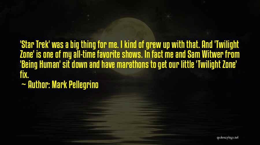 Marathons Quotes By Mark Pellegrino