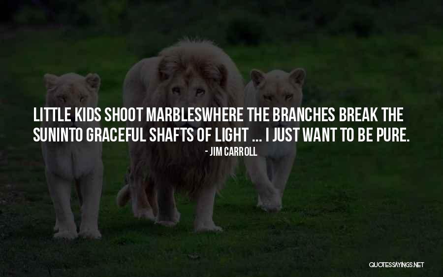 Marbles Quotes By Jim Carroll Marbles Quotes By Jim Carroll
