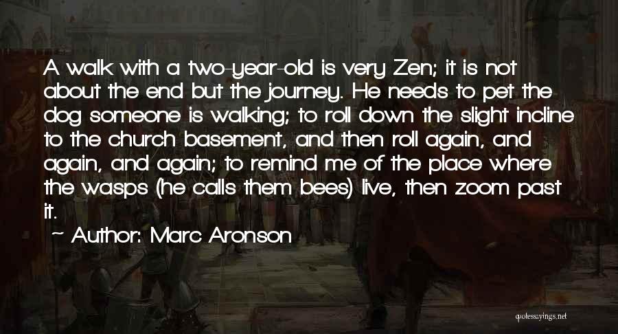 Marc Aronson Quotes 231509