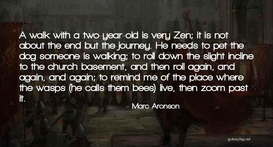 Marc Aronson Quotes 231509