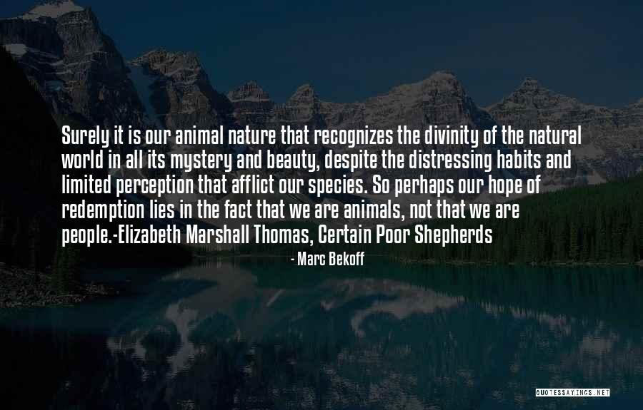 Marc Bekoff Quotes 1944077 Marc Bekoff Quotes 1944077