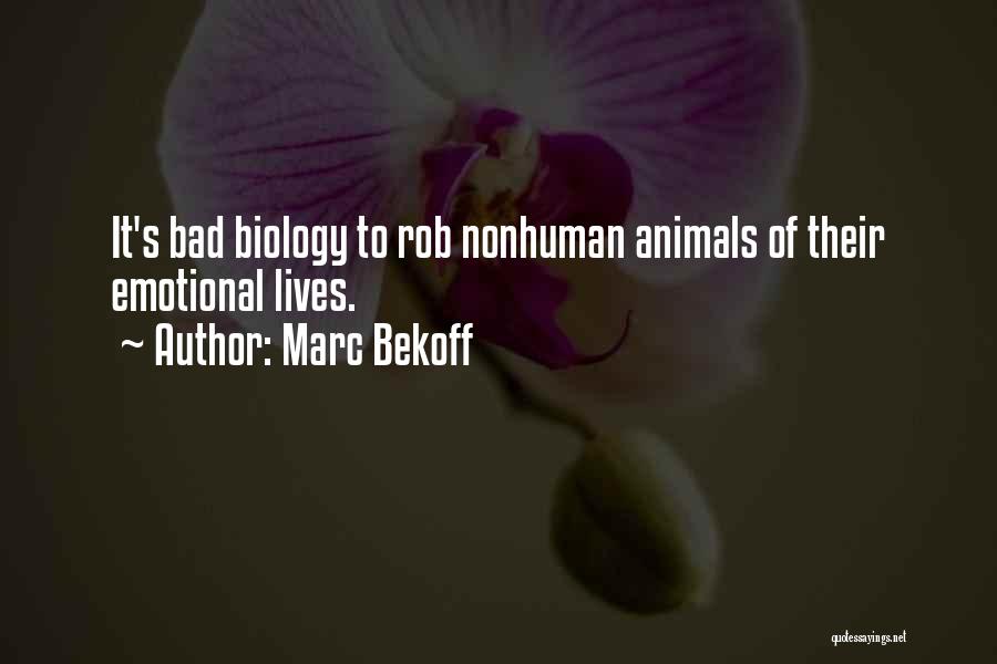 Marc Bekoff Quotes 2204179
