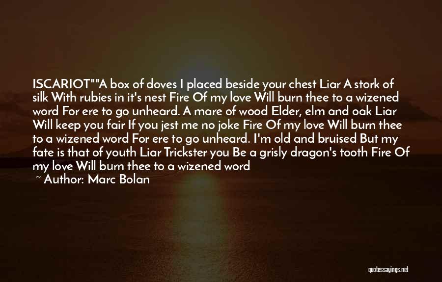 Marc Bolan Quotes 2257714