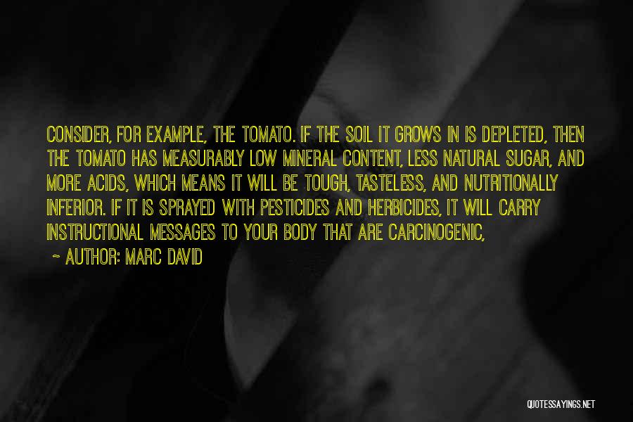 Marc David Quotes 1001531