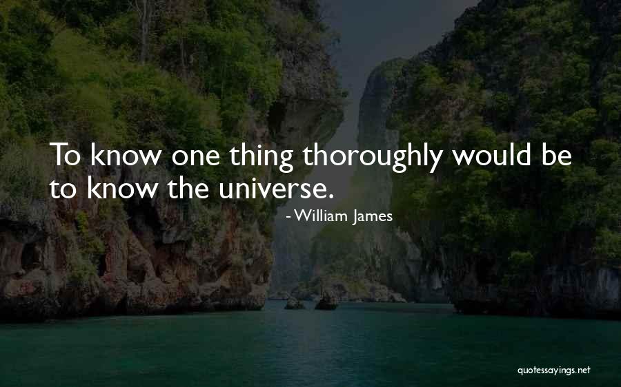 Marc Lottering Quotes By William James Marc Lottering Quotes By William James