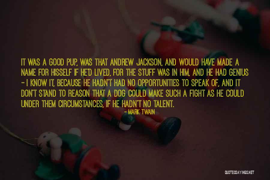 Marcacci Equipment Quotes By Mark Twain Marcacci Equipment Quotes By Mark Twain