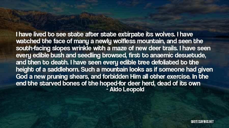 Marcan K Sehradice Quotes By Aldo Leopold Marcan K Sehradice Quotes By Aldo Leopold