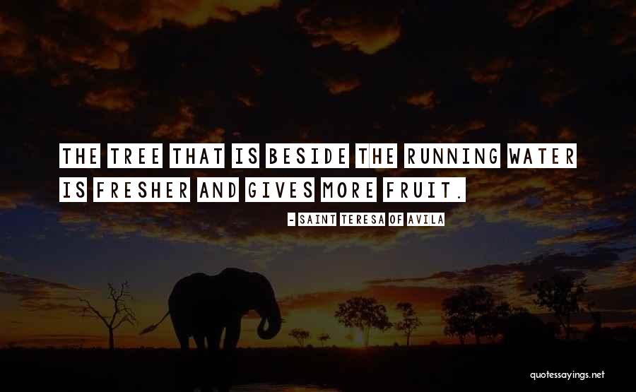 Marcas De Carros Quotes By Saint Teresa Of Avila