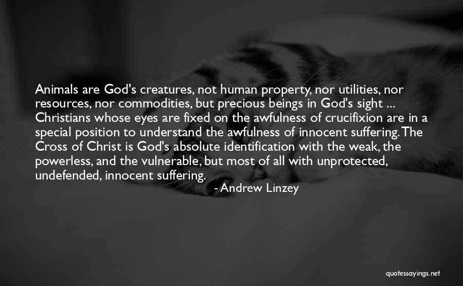 Marcellino Pane Quotes By Andrew Linzey Marcellino Pane Quotes By Andrew Linzey